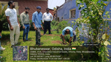 World environment day 2026