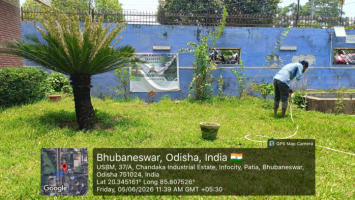 World environment day 2026