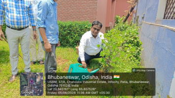World environment day 2026